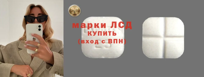 spice Арсеньев