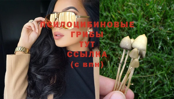 эйфоретик Алексин