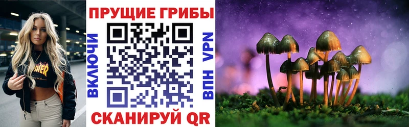 где можно купить наркотик  Урюпинск  Галлюциногенные грибы прущие грибы 